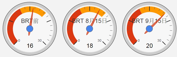 BRT走廊内高峰期公交速度 (km/hr)